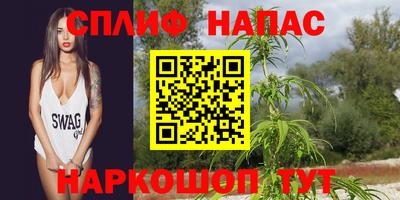 ешки Партизанск