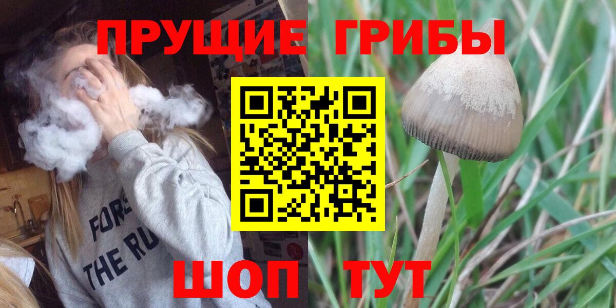 Псилоцибиновые грибы GOLDEN TEACHER Соликамск